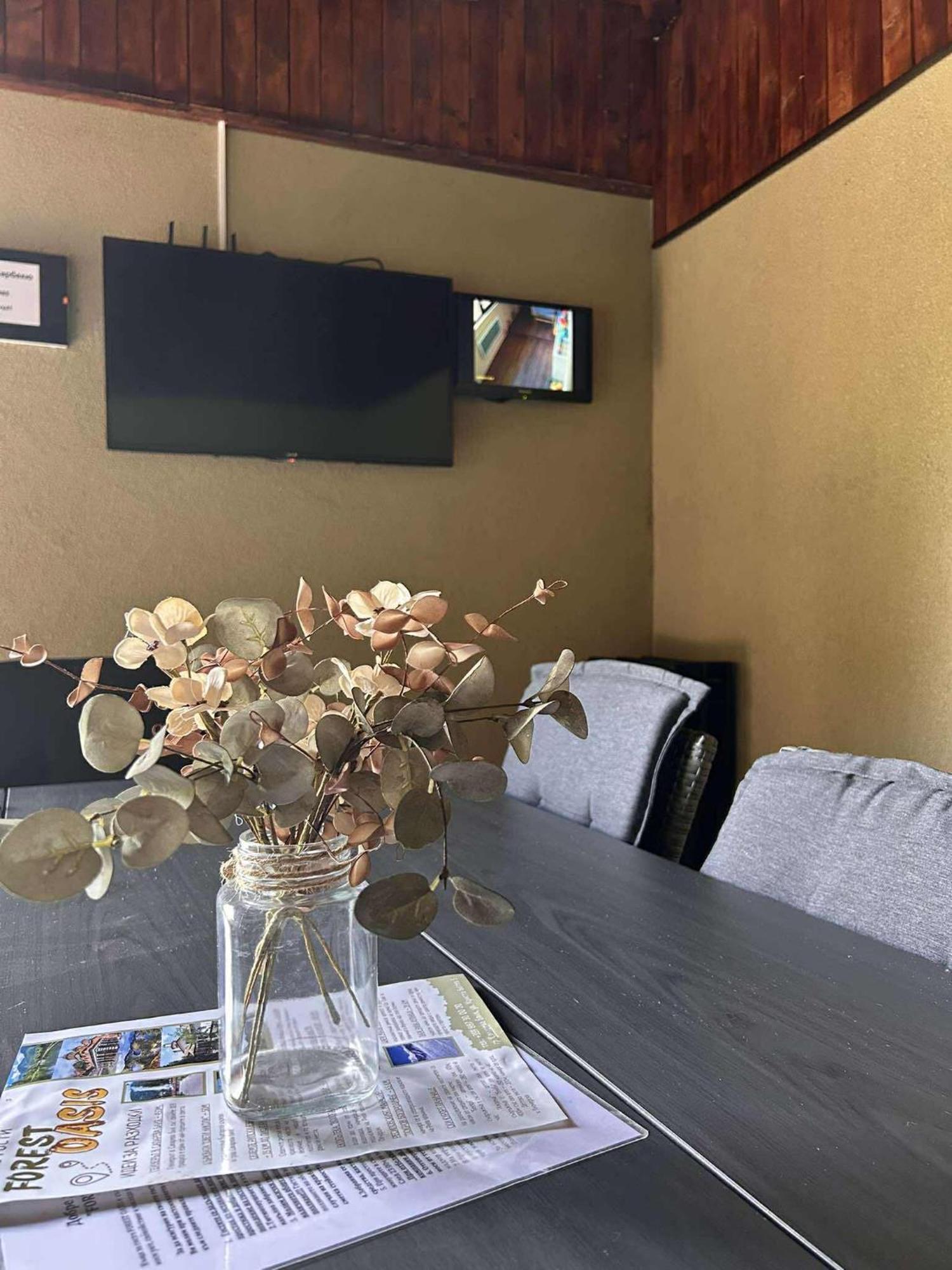 Forest Oasis Guest House Free Parking Sapareva Banya Εξωτερικό φωτογραφία